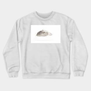 The Count - Snowy Owl Crewneck Sweatshirt